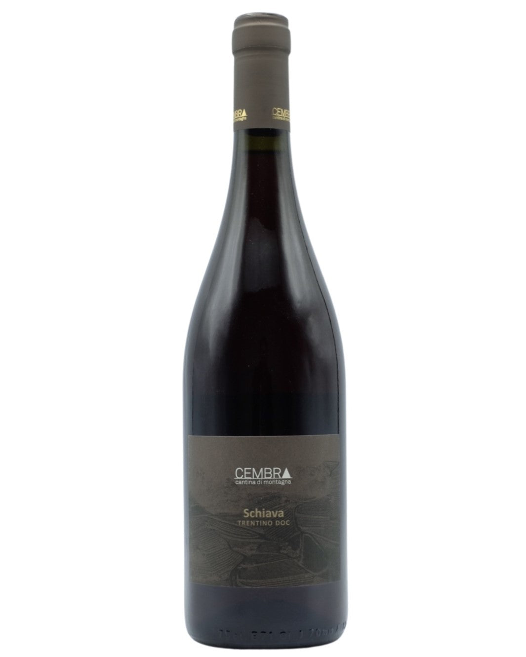 Cembra Schiava