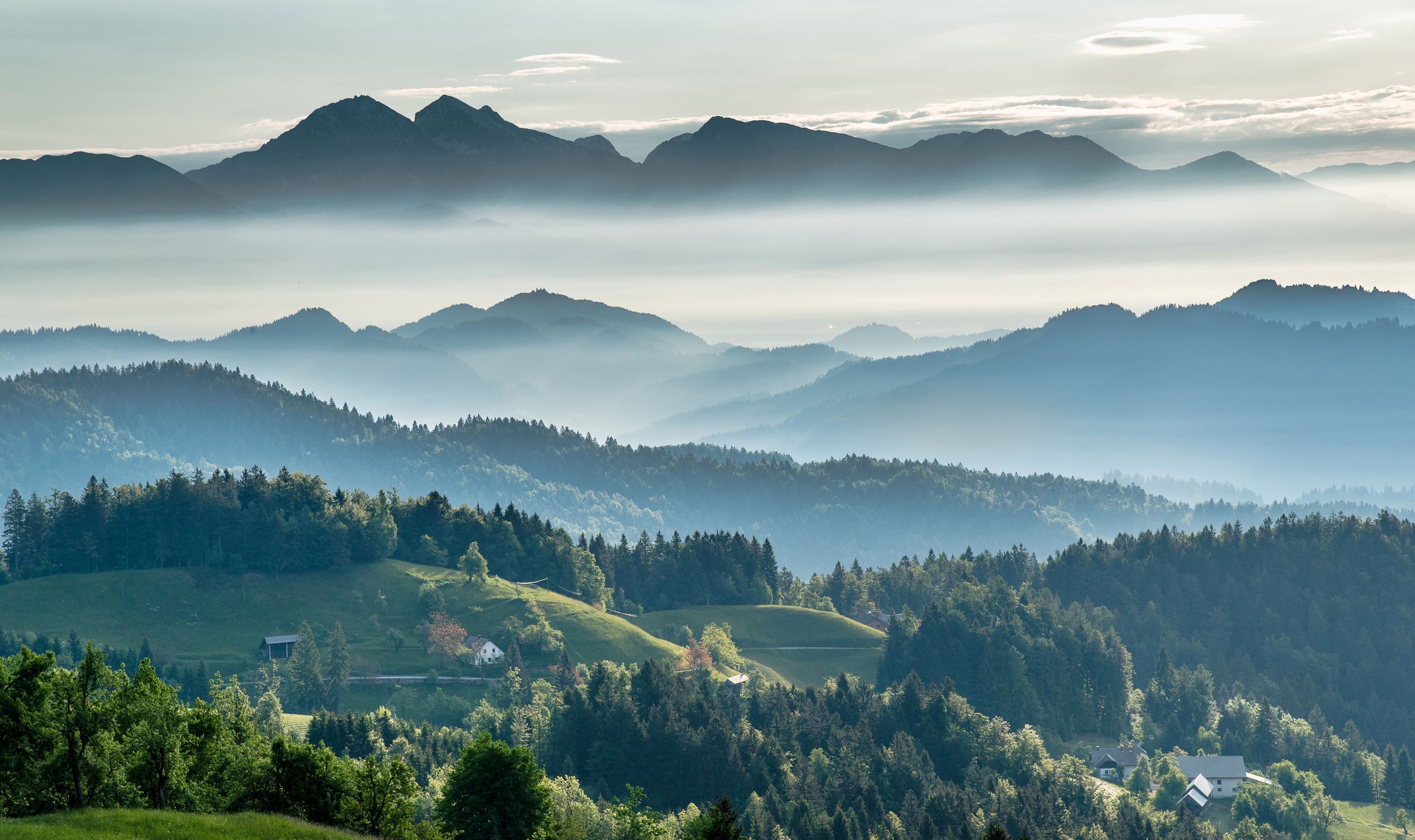 Not All Riesling and Schnitzel: A Tasting of Eastern Europe