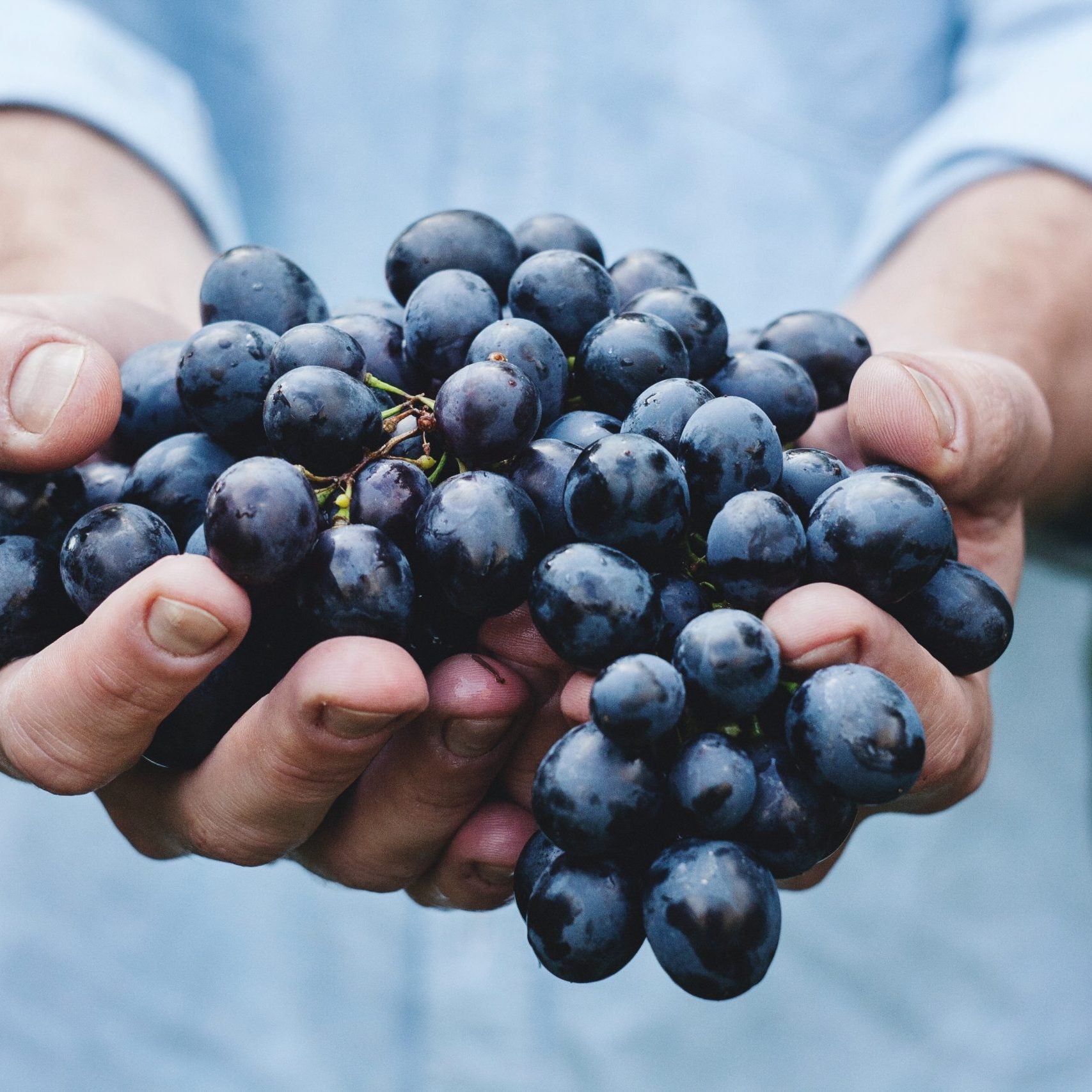 Natural Wine Club