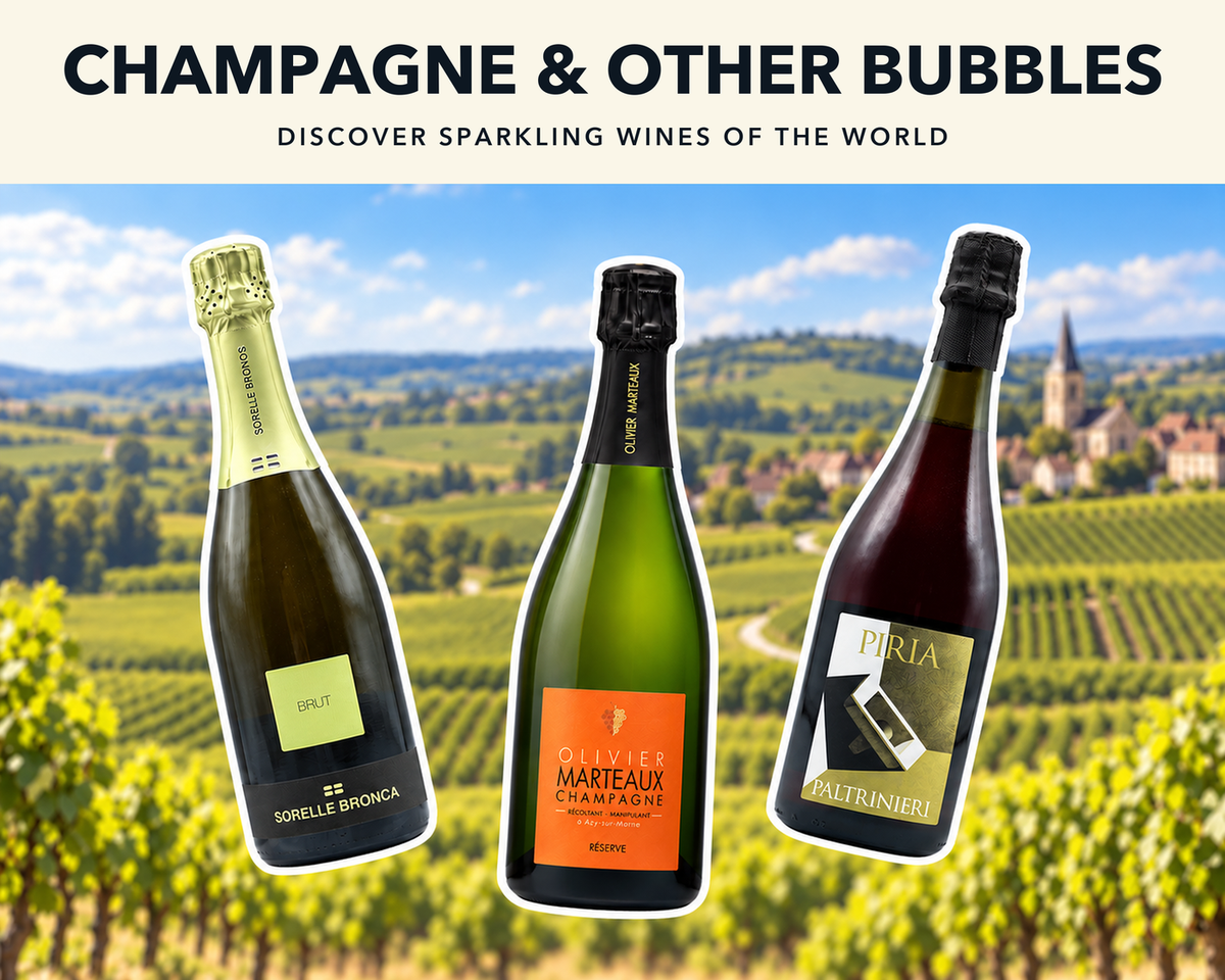 Sorelle Bronca Prosecco, Olivier Marteaux Champagne and Paltrinieri Piria Lambrusco against vineyard countryside