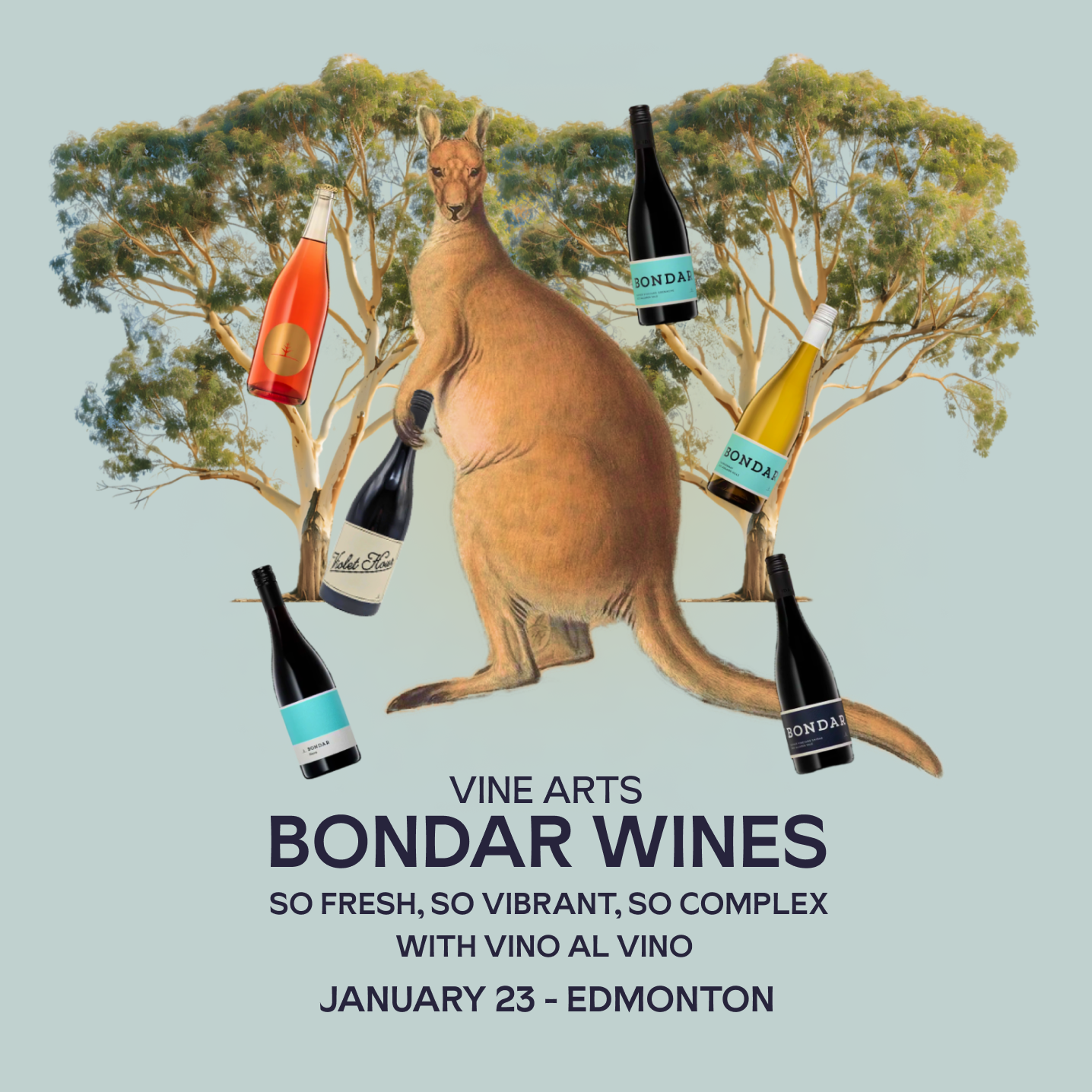 Bondar Wines - So Fresh, So Vibrant, So Complex