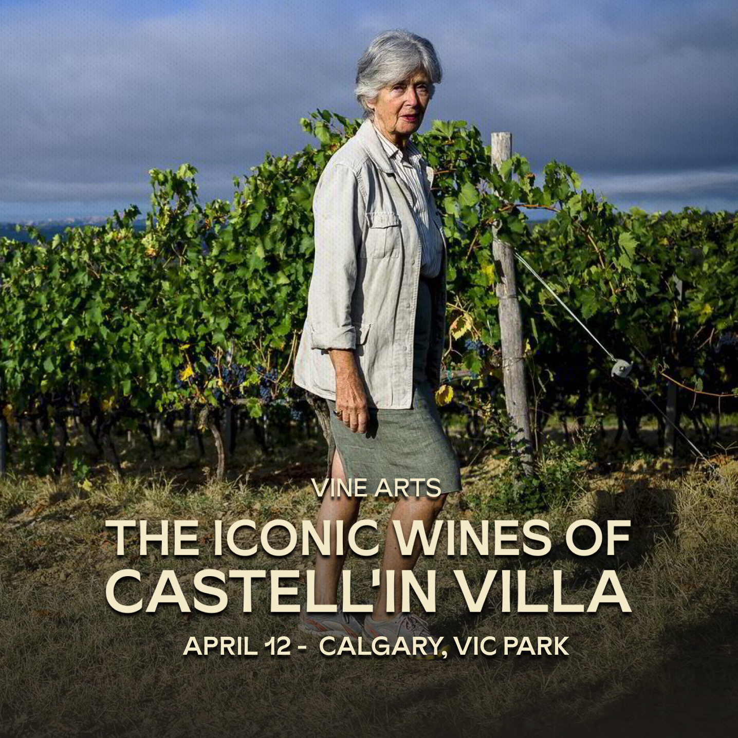 The Iconic Wines of Castell'in Villa