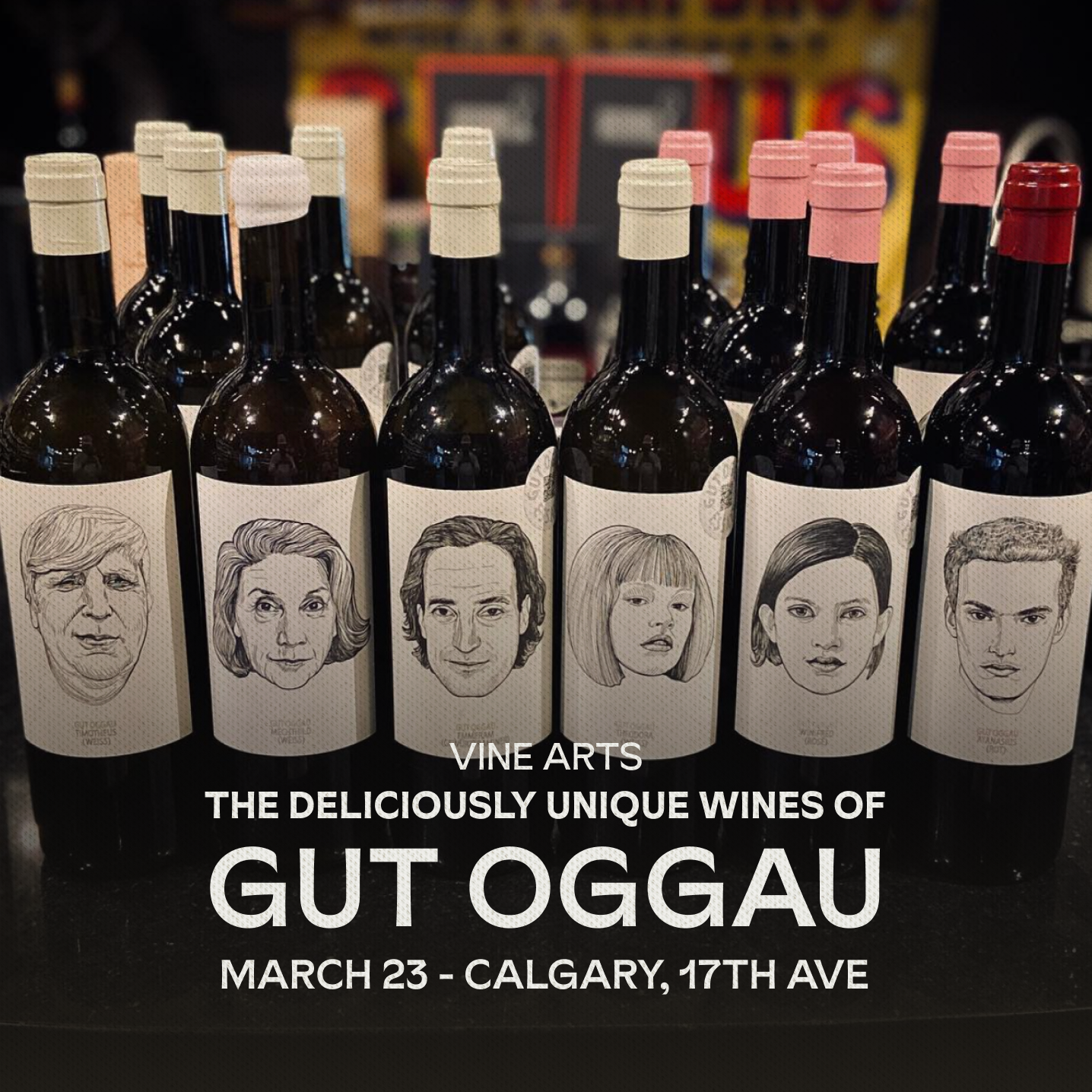 The Deliciously Unique Wines of Gut Oggau