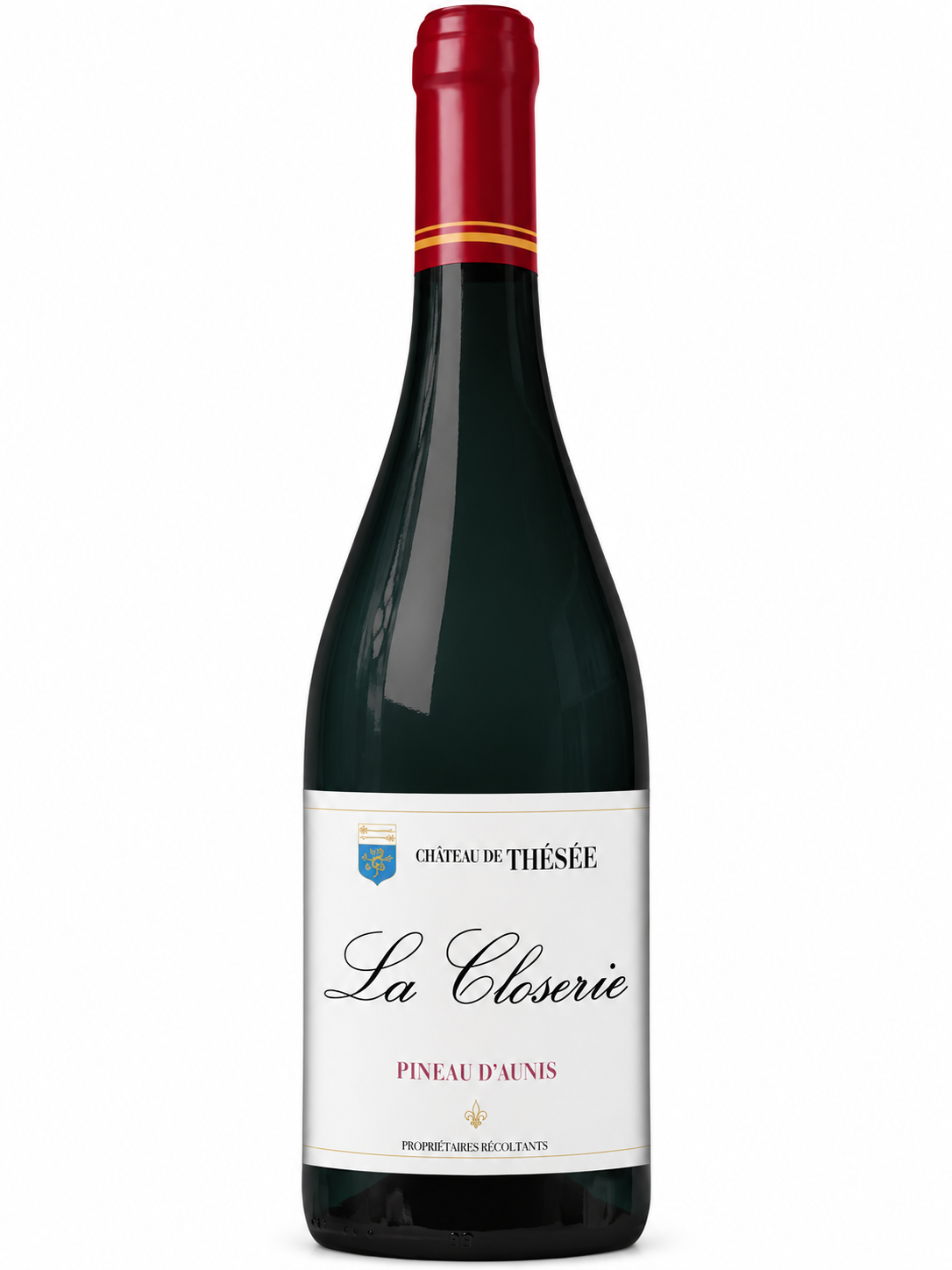 Chateau de Thesee Pineau d'Aunis — 750 ml