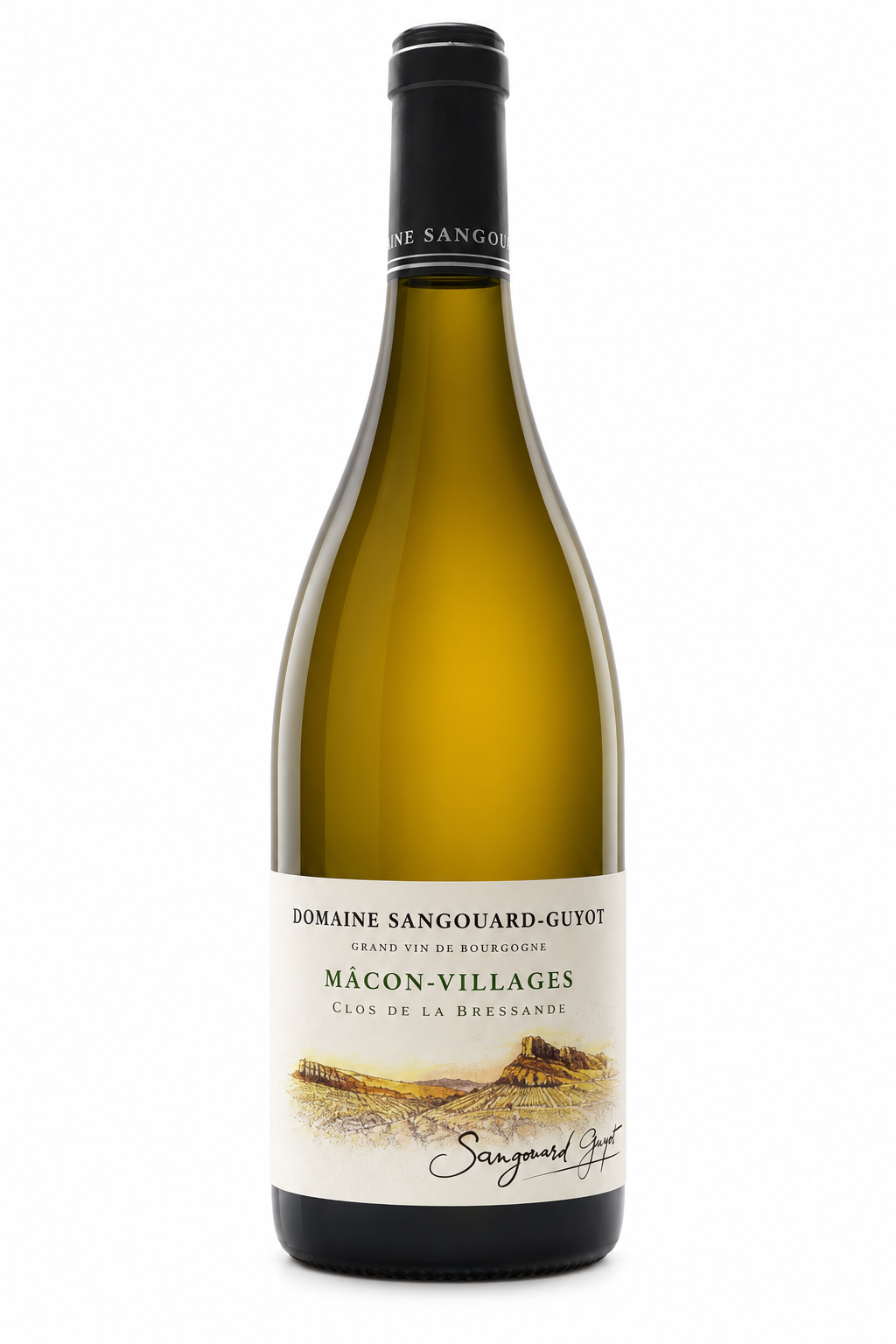 Domaine Sangouard-Guyot Macon Village — single container