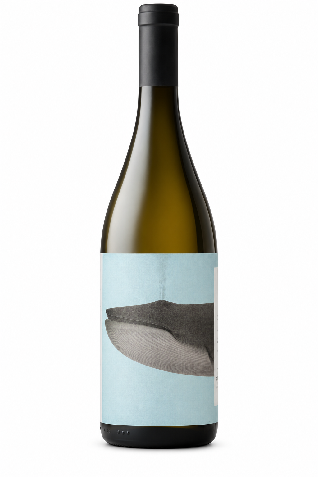 Noelia Ricci Bro Bianco Emilia Romagna — single container