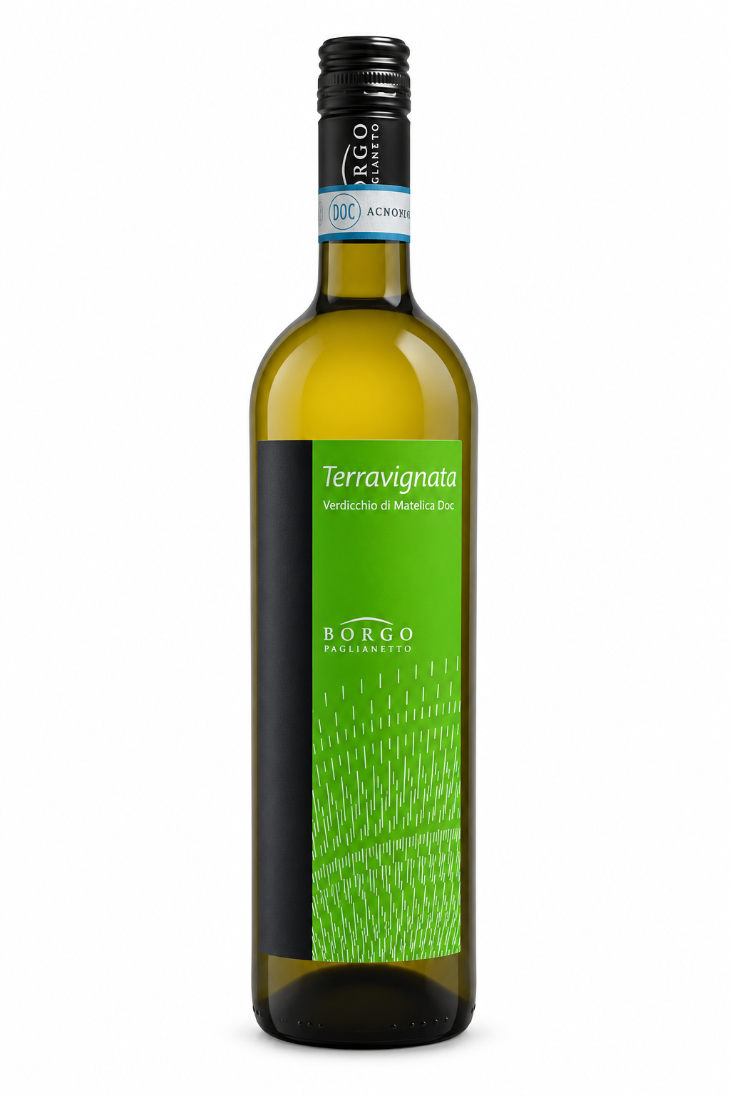B.Paglianetto Terravignata Verdicchio — single container