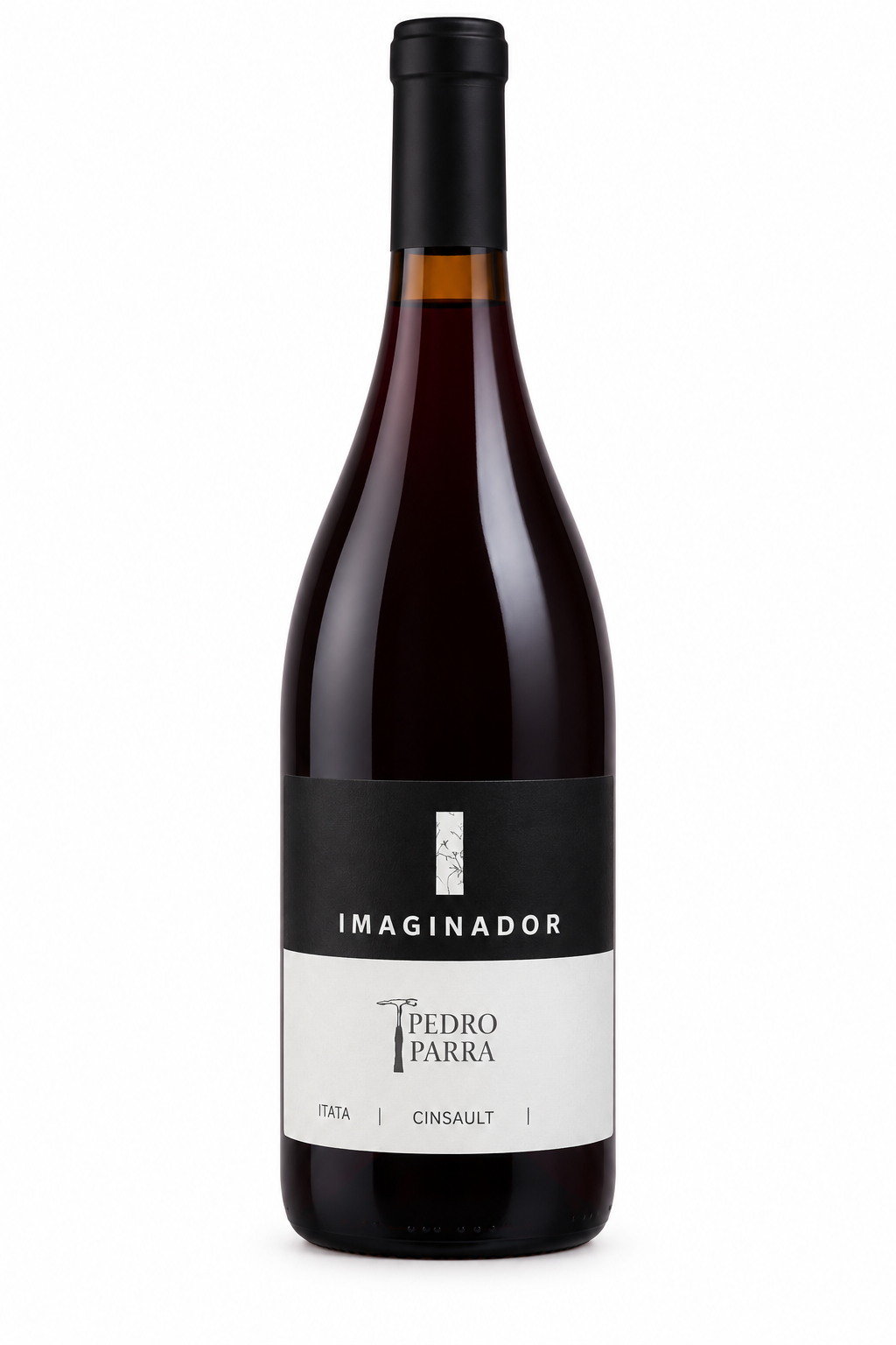 Pedro Parra y Familia Imaginador Cinsault — single container