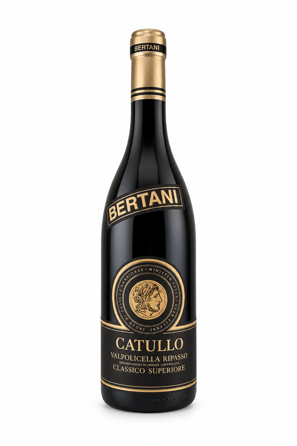 Bertani Catullo Valpolicella Ripassion